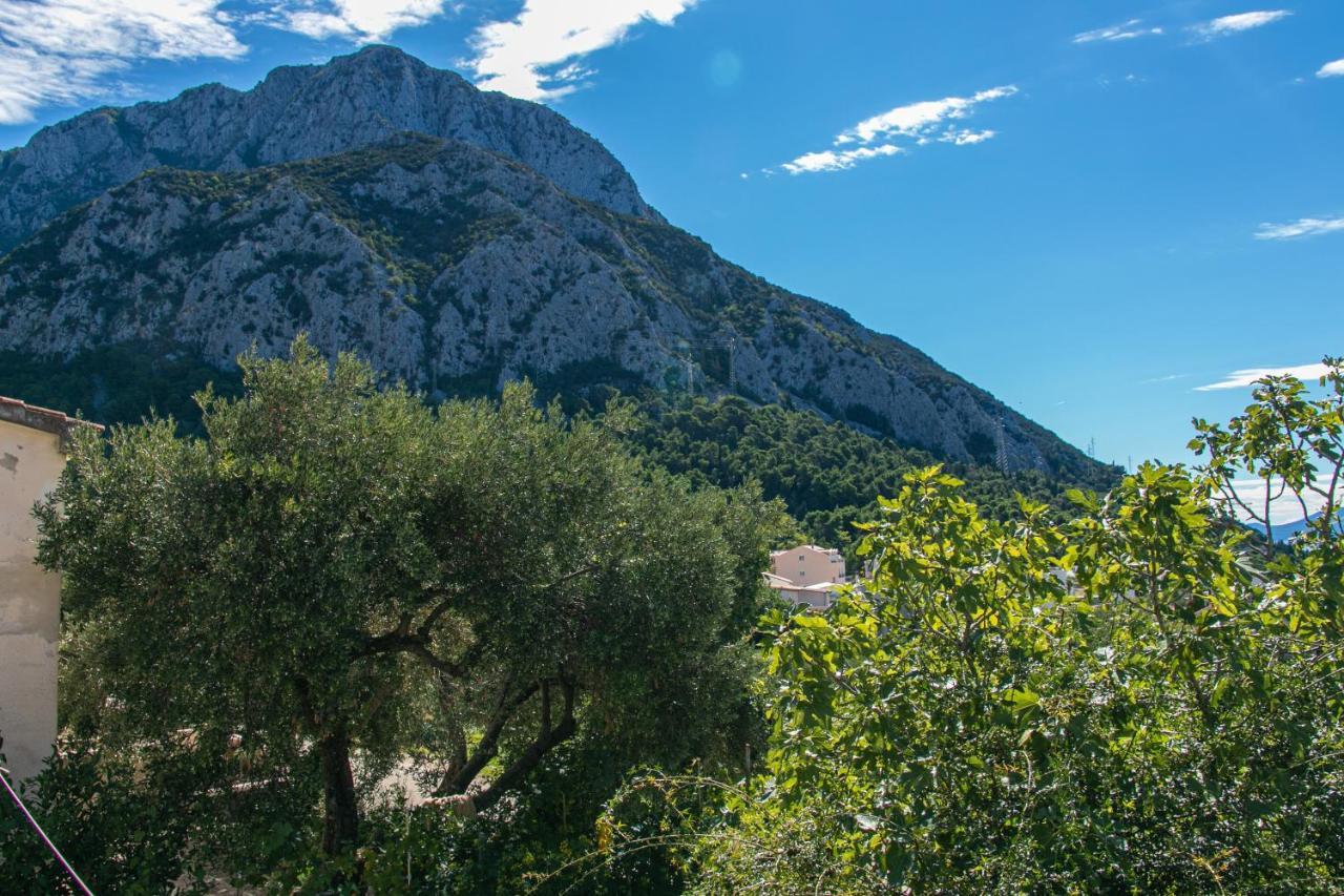 Apartments with a parking space Gradac, Makarska - 14708 Bagian luar foto